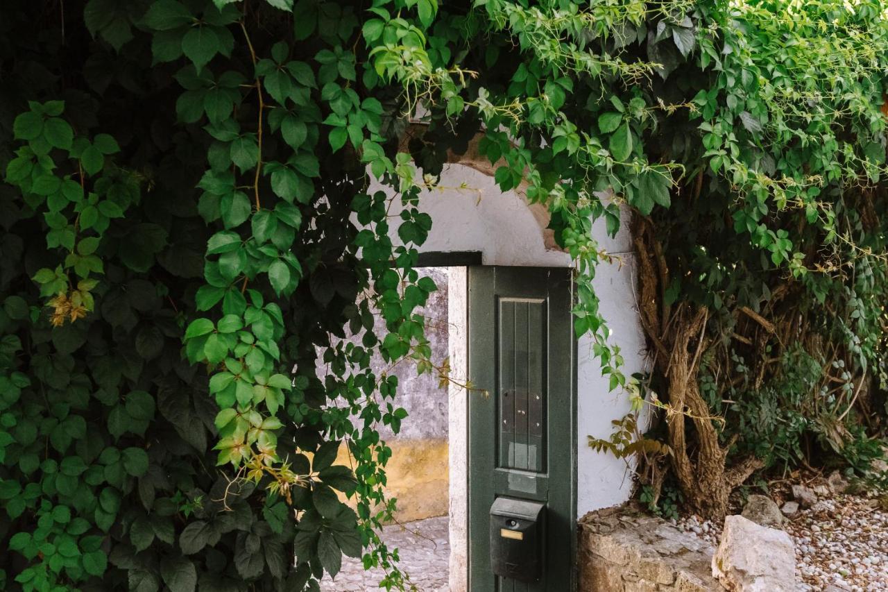 Casa Antonio Moreira Óbidos